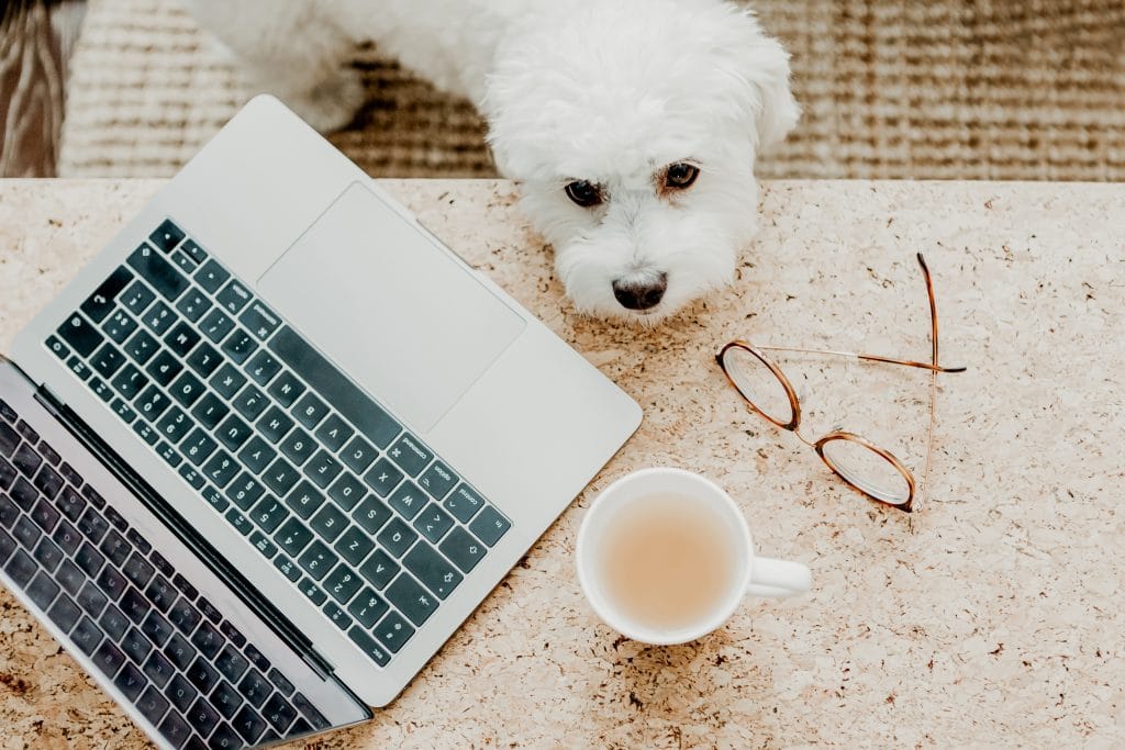 10 Things You Need to Edit on Your Business Facebook Page