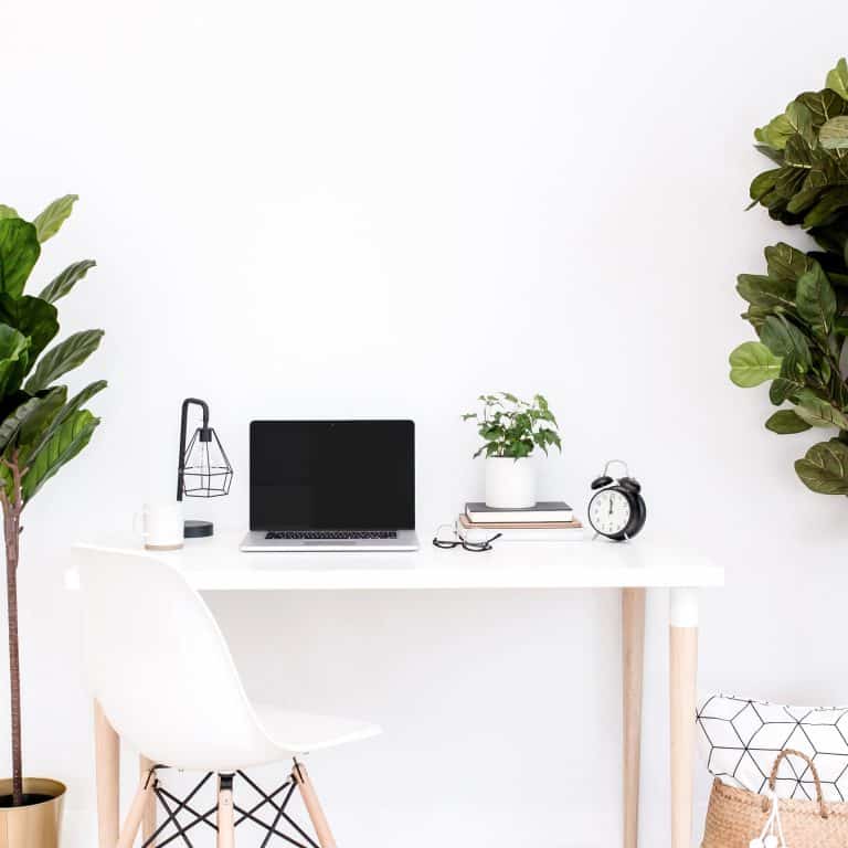 A Step-by-Step Guide to Setting Up Your Business's Facebook Page